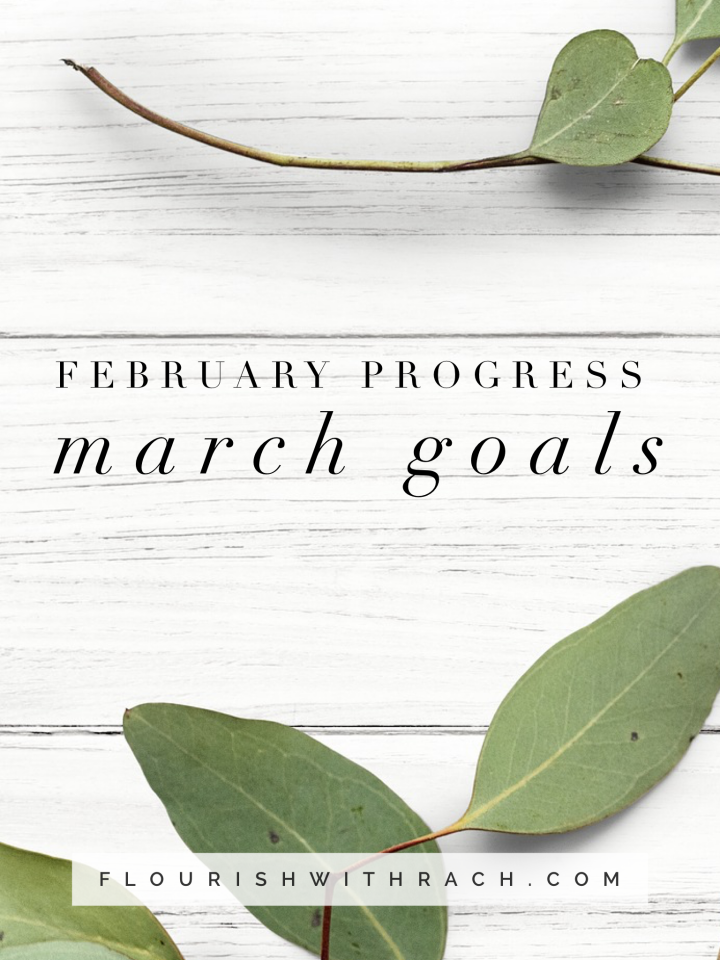 Feb Progress | March Goals 2019