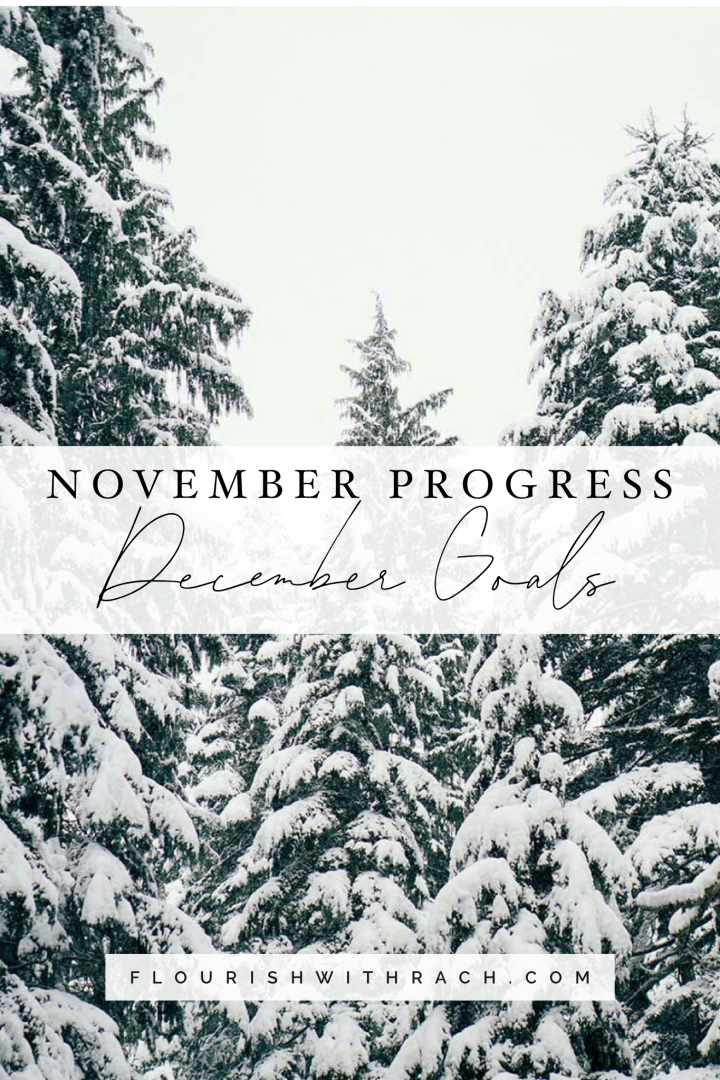 November Progress | December Goals 2019